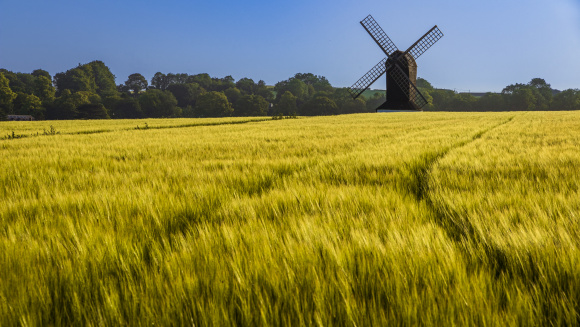Pitstone Windmill in Buckinghamshire