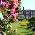 A view of Cranbrook School, Kent, with rhododendrons in the foreground