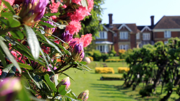 A view of Cranbrook School, Kent, with rhododendrons in the foreground