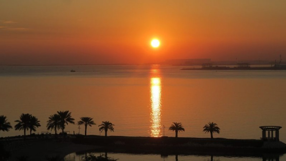Sunset view on a coast in Doha with silhouette of palm trees.