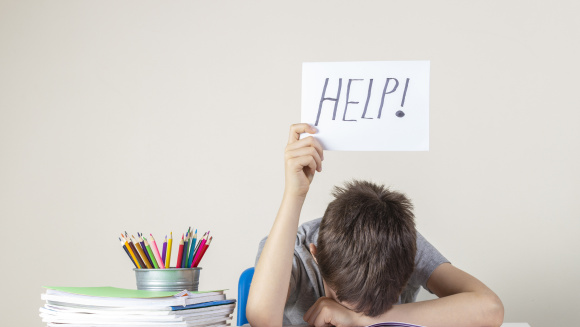 A child looking for revision help