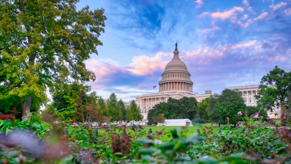 The United States Capitol in Washington, D.C