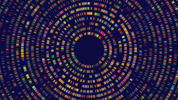 Dna test infographic. Genome sequence map, radial two-dimensional barcoding