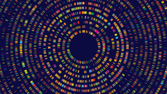 Dna test infographic. Genome sequence map, radial two-dimensional barcoding