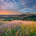 A view of the South Downs at sunset