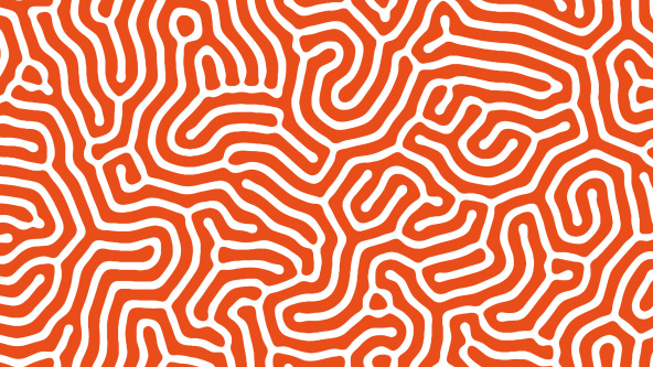 The pattern of the brain