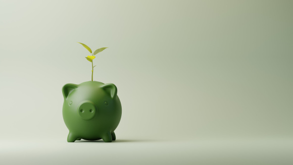 A green piggy bank with a plant growing from it