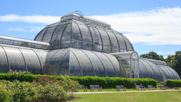 The Palm House at Kew Gardens