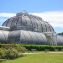 The Palm House at Kew Gardens
