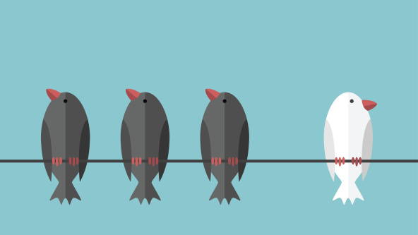 Birds sitting on a wire