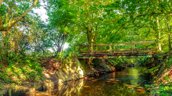 A bridge over Beverley Brook, Wimbledon Common