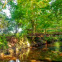 A bridge over Beverley Brook, Wimbledon Common
