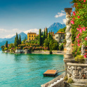 Oleander flowers and Villa Monastero in background, Lake Como