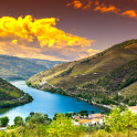 River Douro region in Portugal with vineyards and olive groves