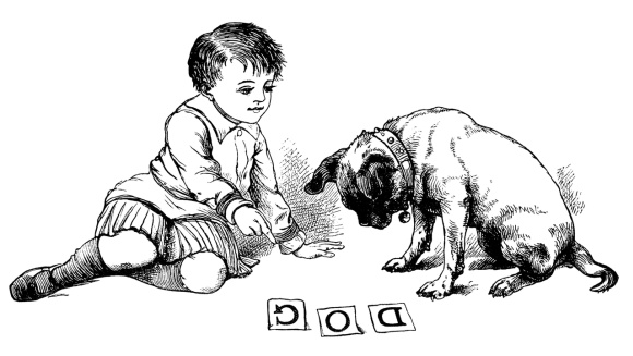 A small boy teaching a dog how to read the word DOG