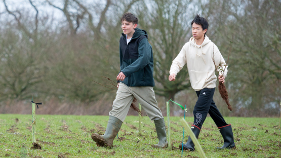 Radley College pupils planting trees