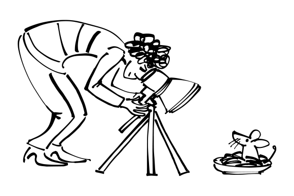 An illustration of a woman looking at a mouse