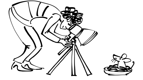 A woman taking a photograph of a mouse