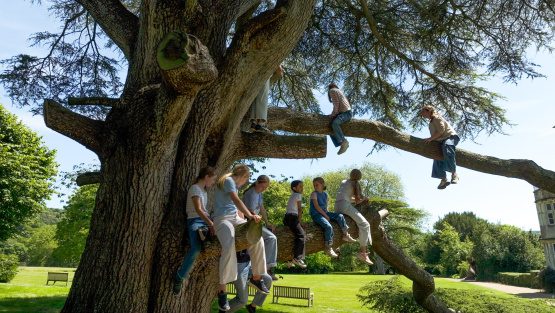 Pupils sitting on the branches of a big old tree in the grounds of Hanford Prep