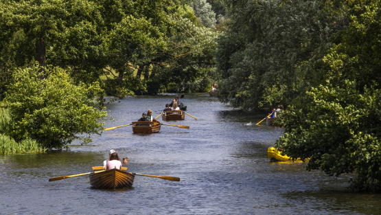 Families in successive rowing boats on the River Stour in Dedham, Essex