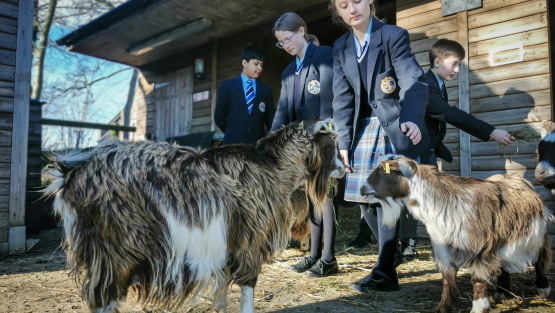 Pupils feeding goats at Kingham Hill's own farm