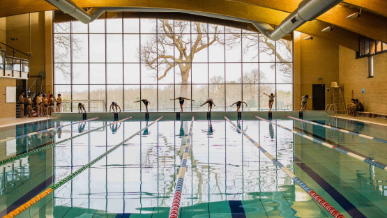 QEB indoors swimming pool, with broad wooden arches across the ceiling and a dramatic wintry, bald tree through the huge window at the pool's end