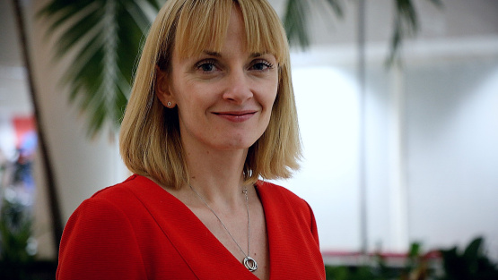 Head shot of Sue Lovelock, Director of Professional and Technical Education at the DfE