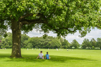 Photo of Wymondham College