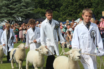 Photo of Brymore Academy