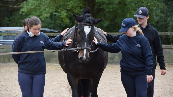 Photo of Fortune College